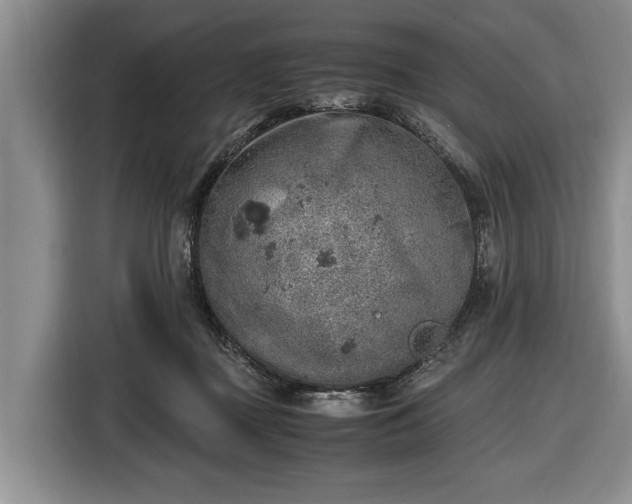 X0000116420363200912151003