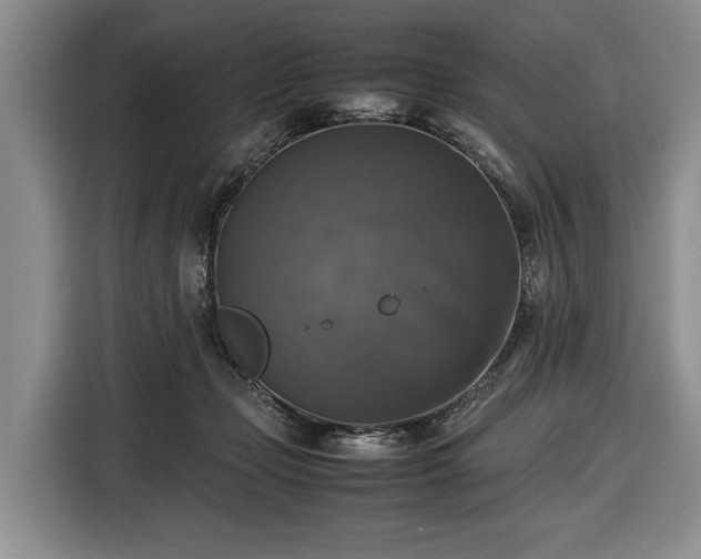 X0000116420365200912151003
