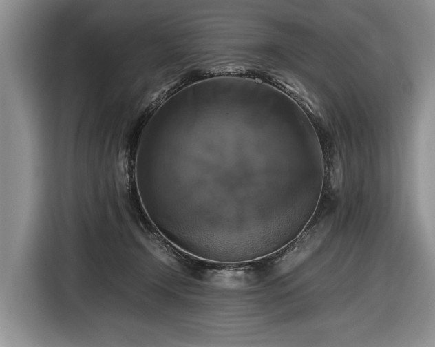 X0000116420366200912151003