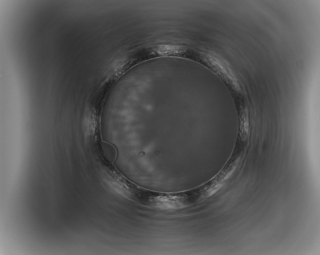 X0000116420367200912151003