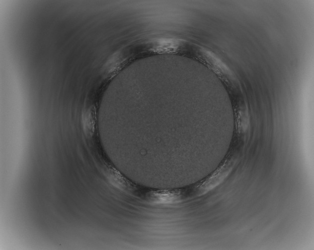 X0000116420370200912151003