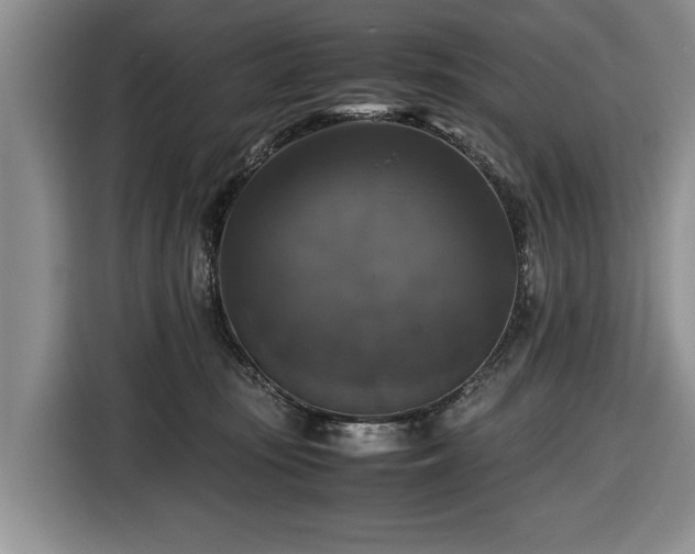 X0000116420371200912151003