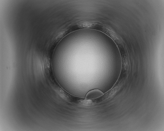 X0000116420374200912151003
