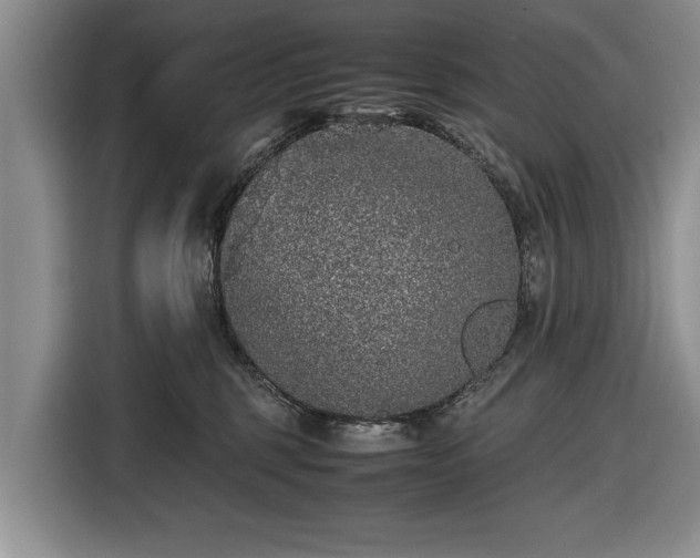 X0000116420375200912151003