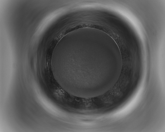 X0000116420382200912151003