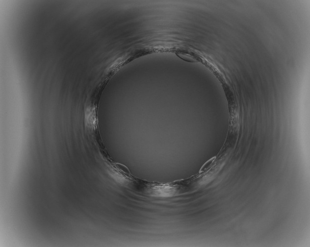 X0000116420383200912151003