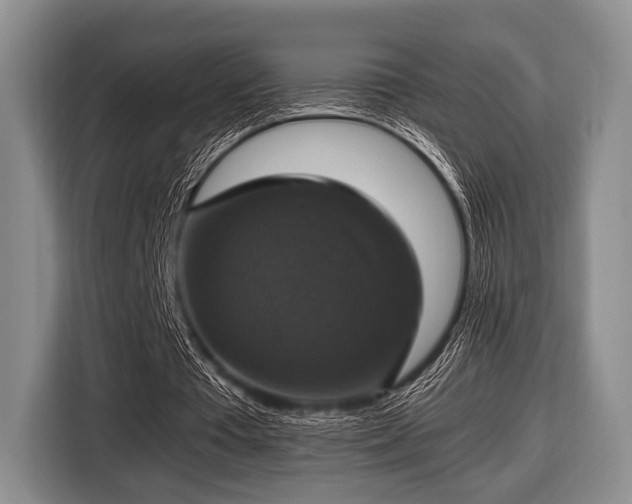 X0000116420385200912151002