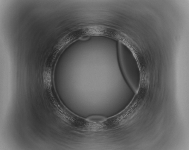 X0000116420386200912151002
