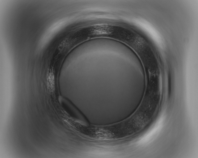 X0000116420387200912151002