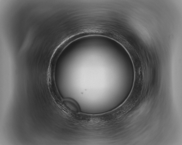 X0000116420388200912151002