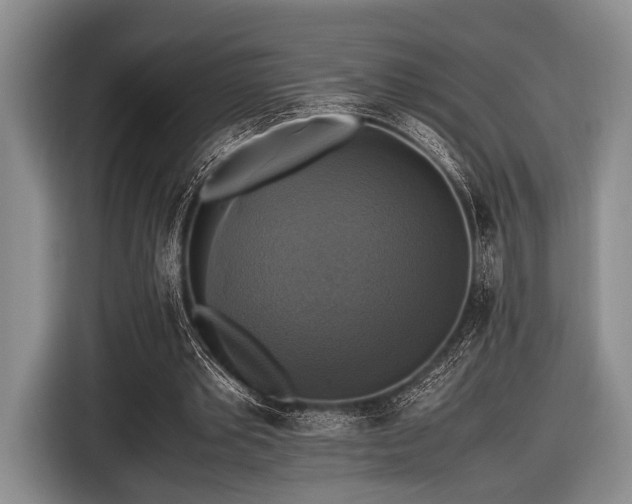 X0000116420389200912151002