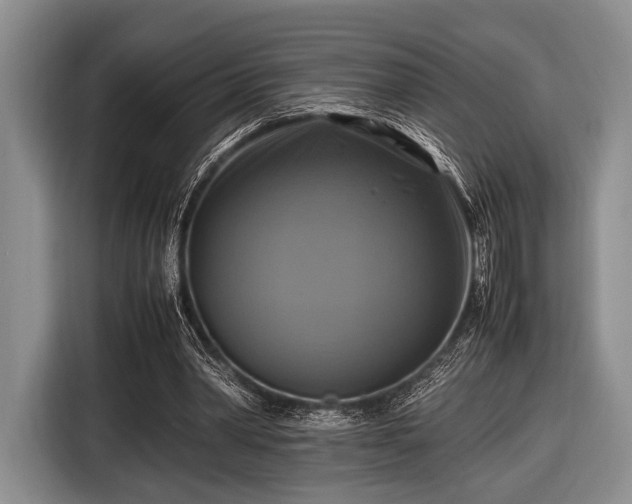 X0000116420390200912151002