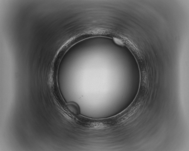 X0000116420392200912151002