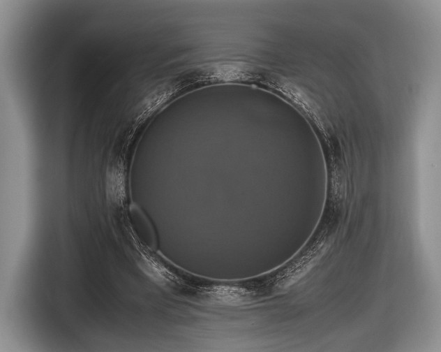X0000116420393200912151002