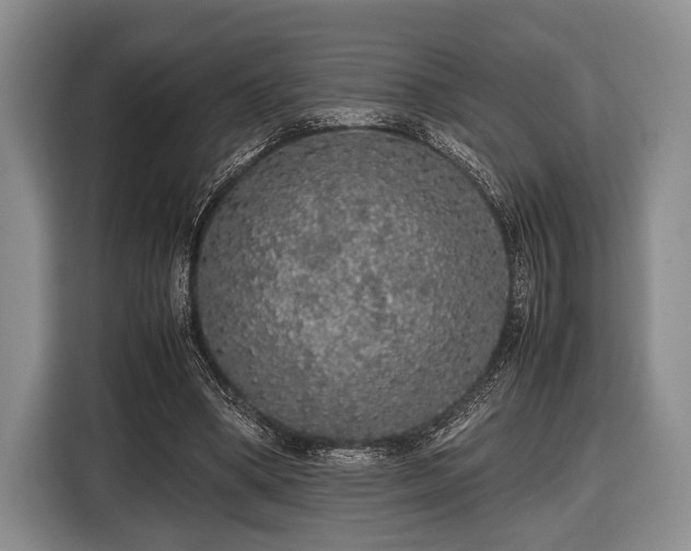 X0000116420394200912151002