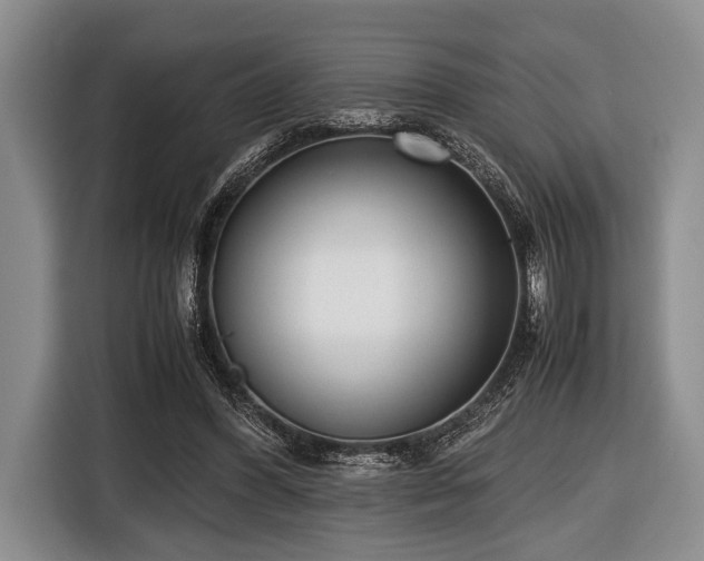 X0000116420396200912151002