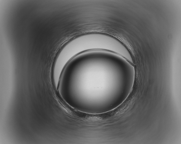 X0000116420397200912151002