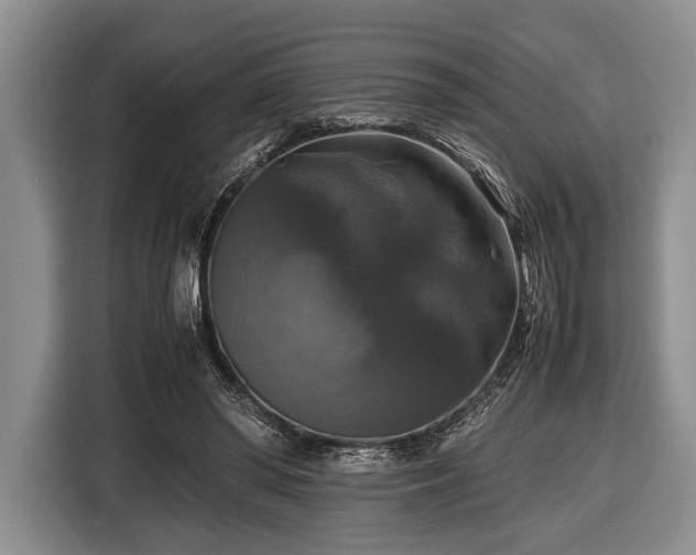 X0000116420398200912151002