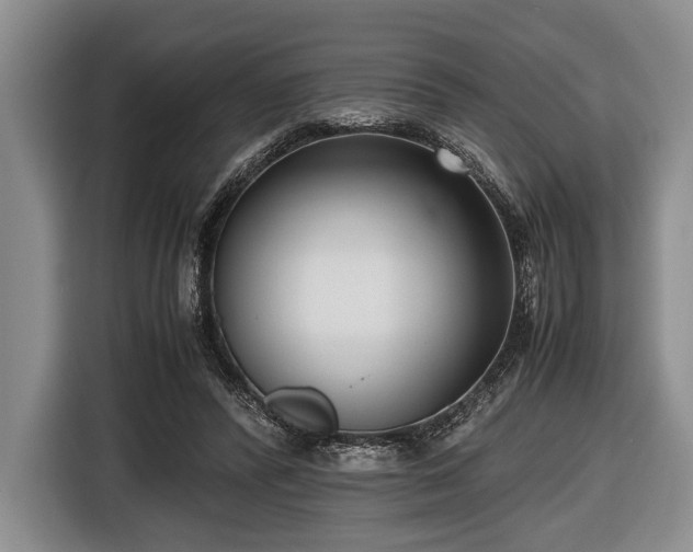 X0000116420400200912151002