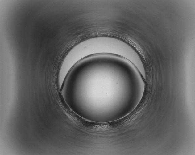 X0000116420401200912151002