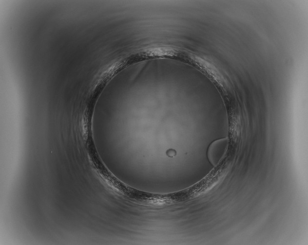 X0000116420402200912151002