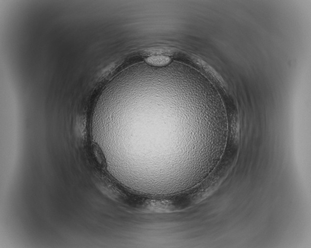 X0000116420403200912151002