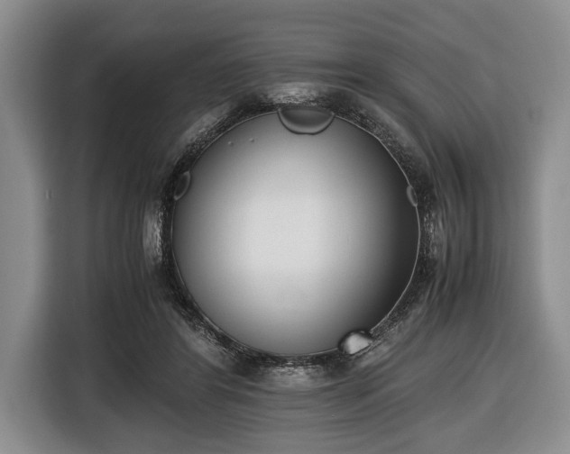 X0000116420404200912151002