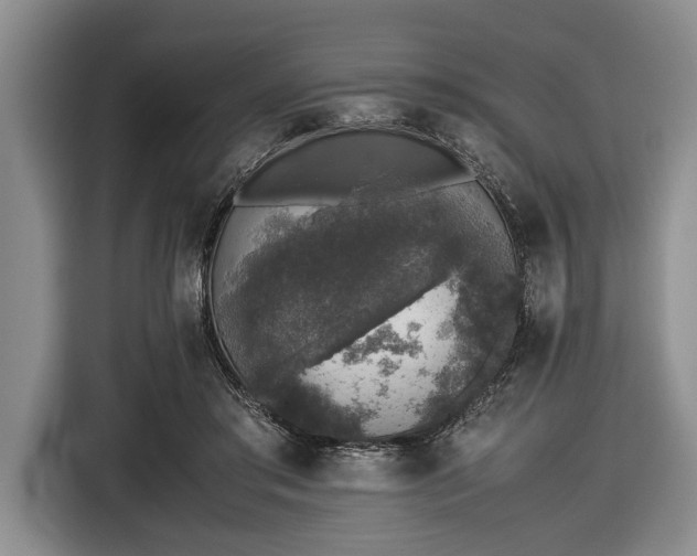 X0000116420405200912151002