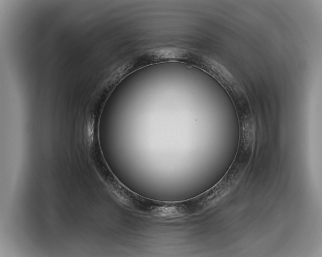 X0000116420406200912151002