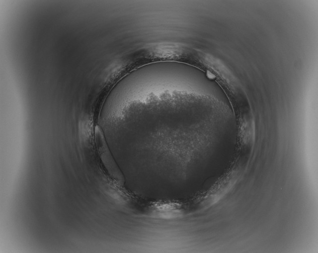 X0000116420407200912151002