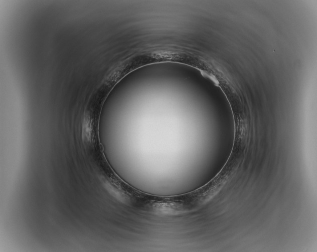 X0000116420408200912151002