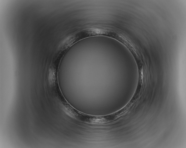 X0000116420410200912151002