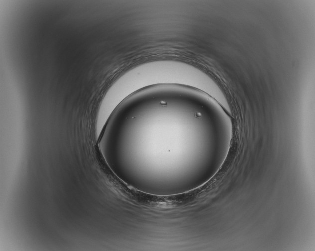 X0000116420411200912151002