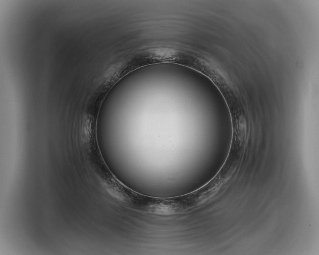 X0000116420412200912151002