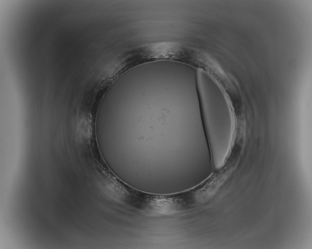 X0000116420413200912151002