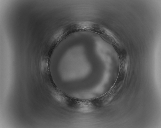 X0000116420415200912151002