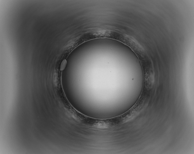 X0000116420416200912151002