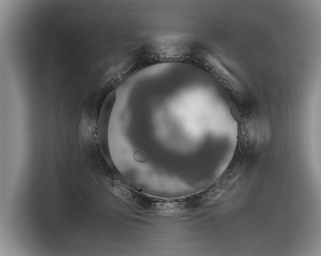 X0000116420419200912151002