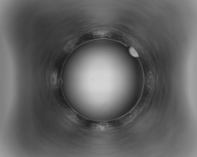 X0000116420420200912151002