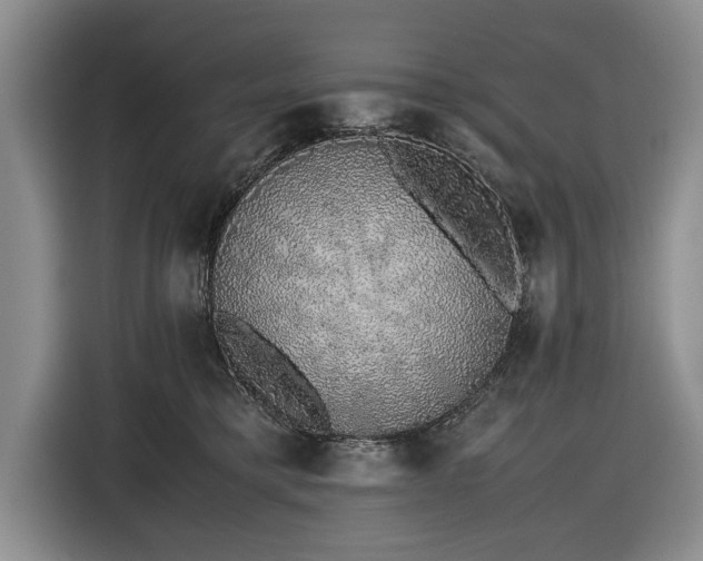 X0000116420421200912151002