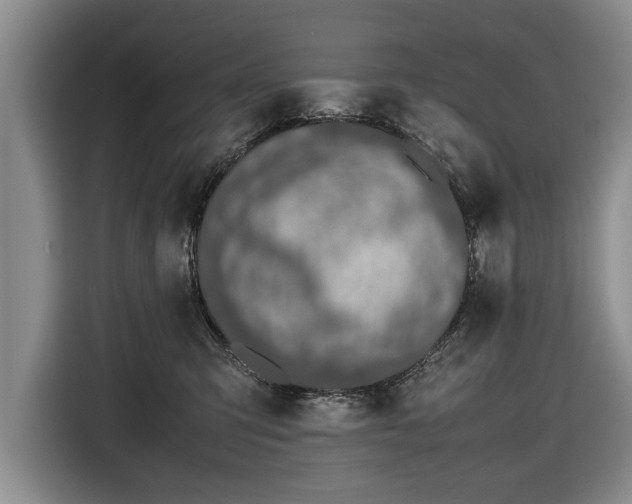 X0000116420423200912151002