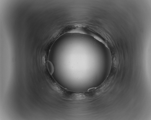 X0000116420424200912151002
