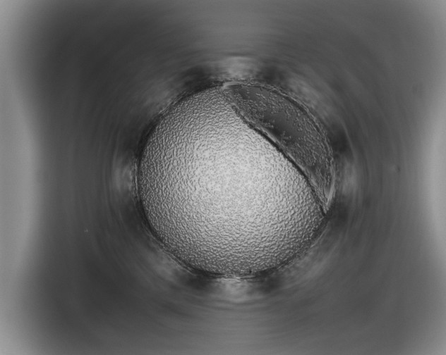 X0000116420425200912151002