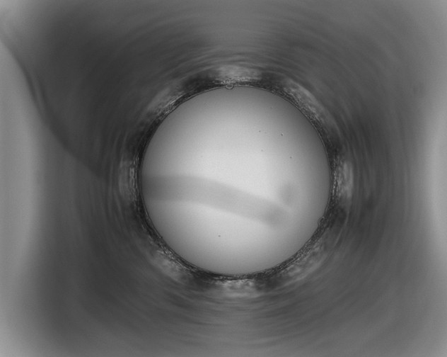 X0000116420426200912151002