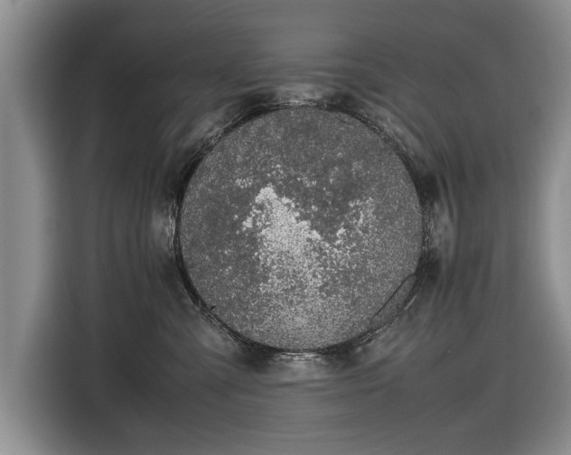 X0000116420427200912151002