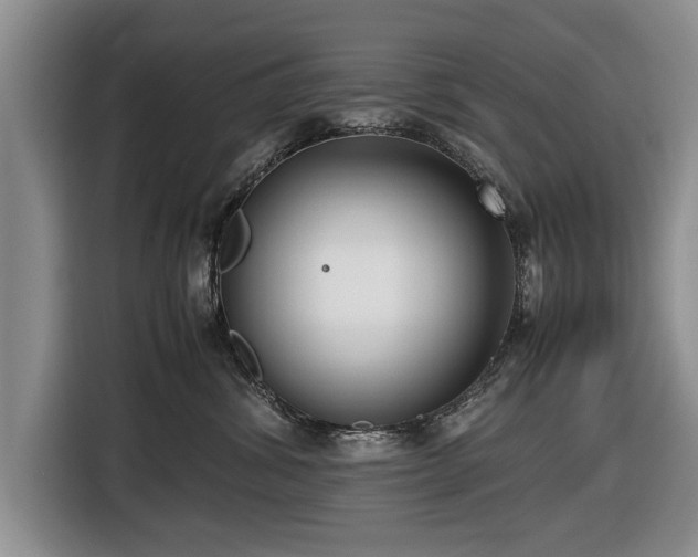 X0000116420428200912151002