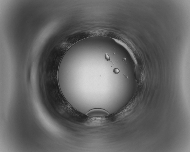 X0000116420429200912151002