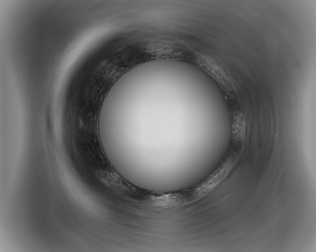 X0000116420430200912151002