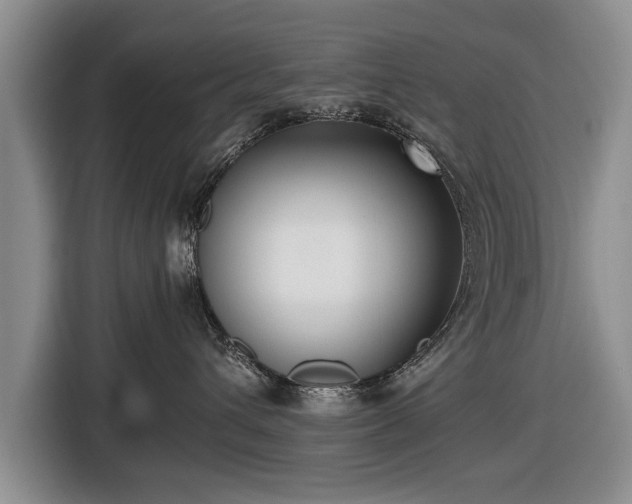 X0000116420432200912151002