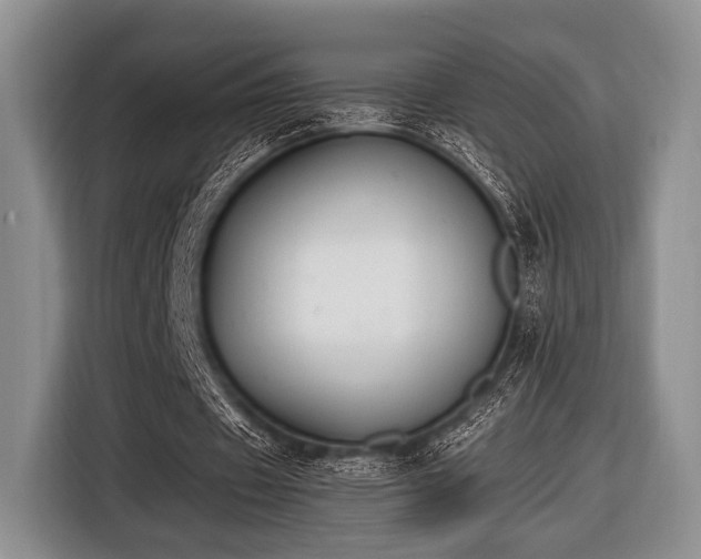 X0000116420433200912151001